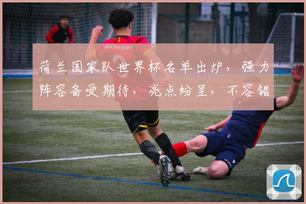 荷兰国家队世界杯名单出炉，强力阵容备受期待，亮点纷呈，不容错过