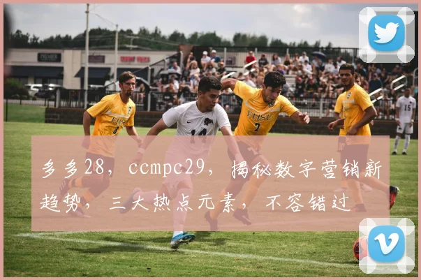 多多28，ccmpc29，揭秘数字营销新趋势，三大热点元素，不容错过