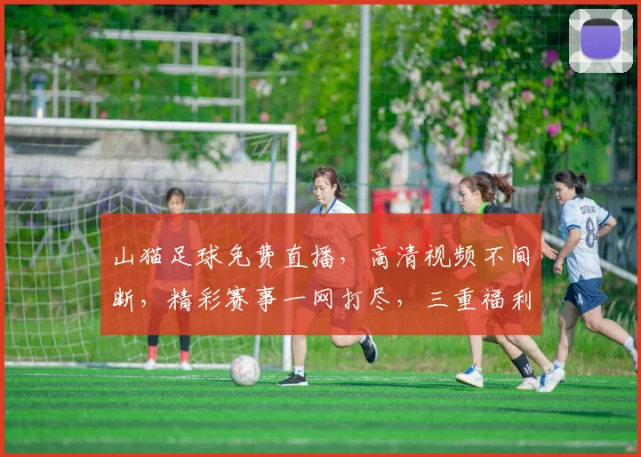 山猫足球免费直播，高清视频不间断，精彩赛事一网打尽，三重福利等你来