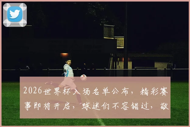 2026世界杯入场名单公布，精彩赛事即将开启，球迷们不容错过，敬请关注